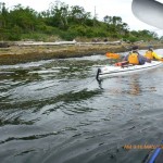 Kayaking Twin then Gulf Islds with SKABC trip May_13 011