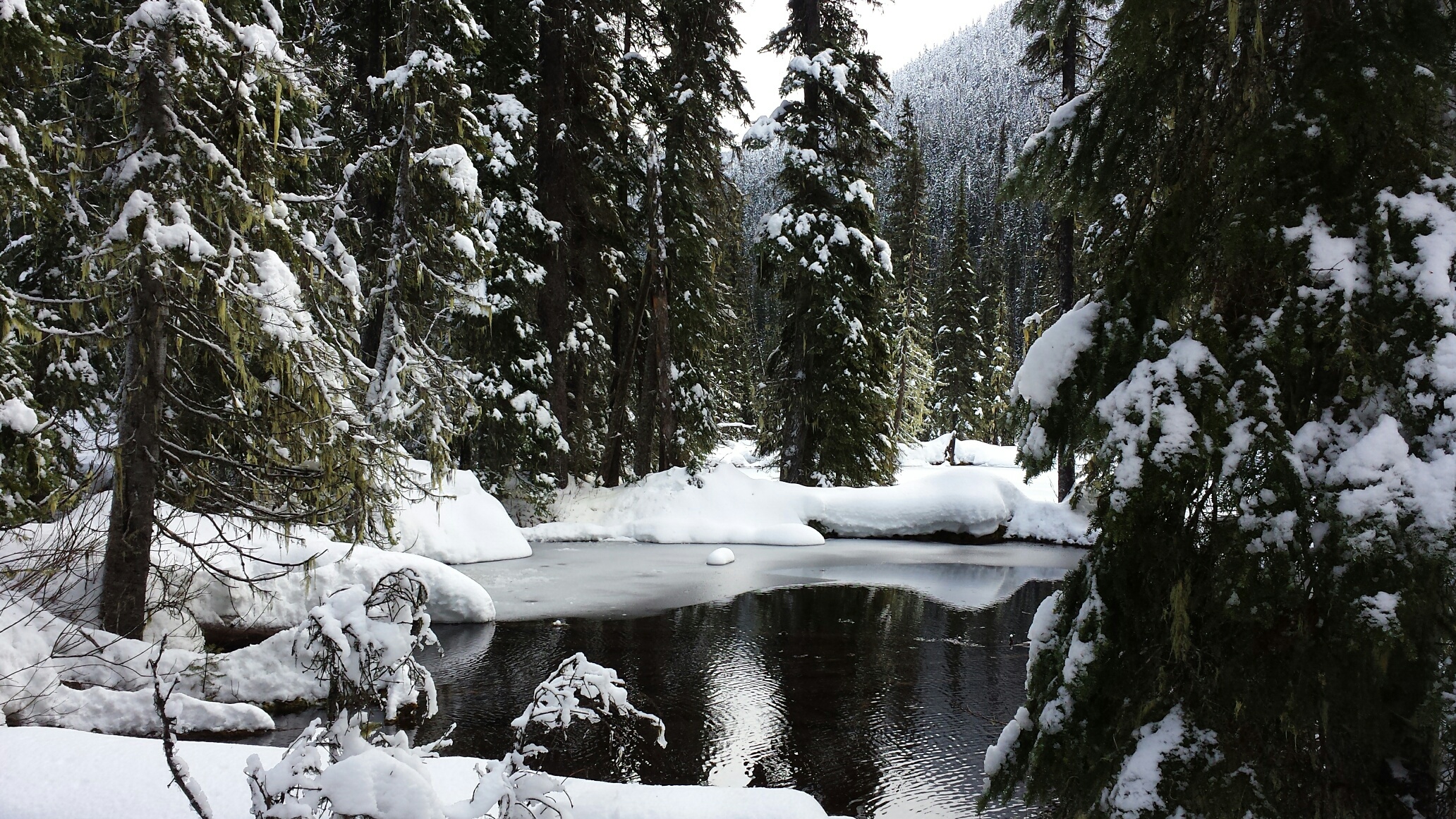 This Rita Buchwitz photo really shows the serene beauty of Manning Park.