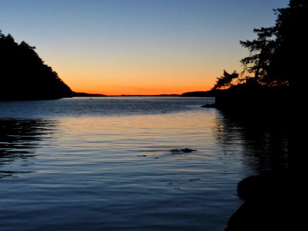 Kayaking to Wallace Island has its rewards