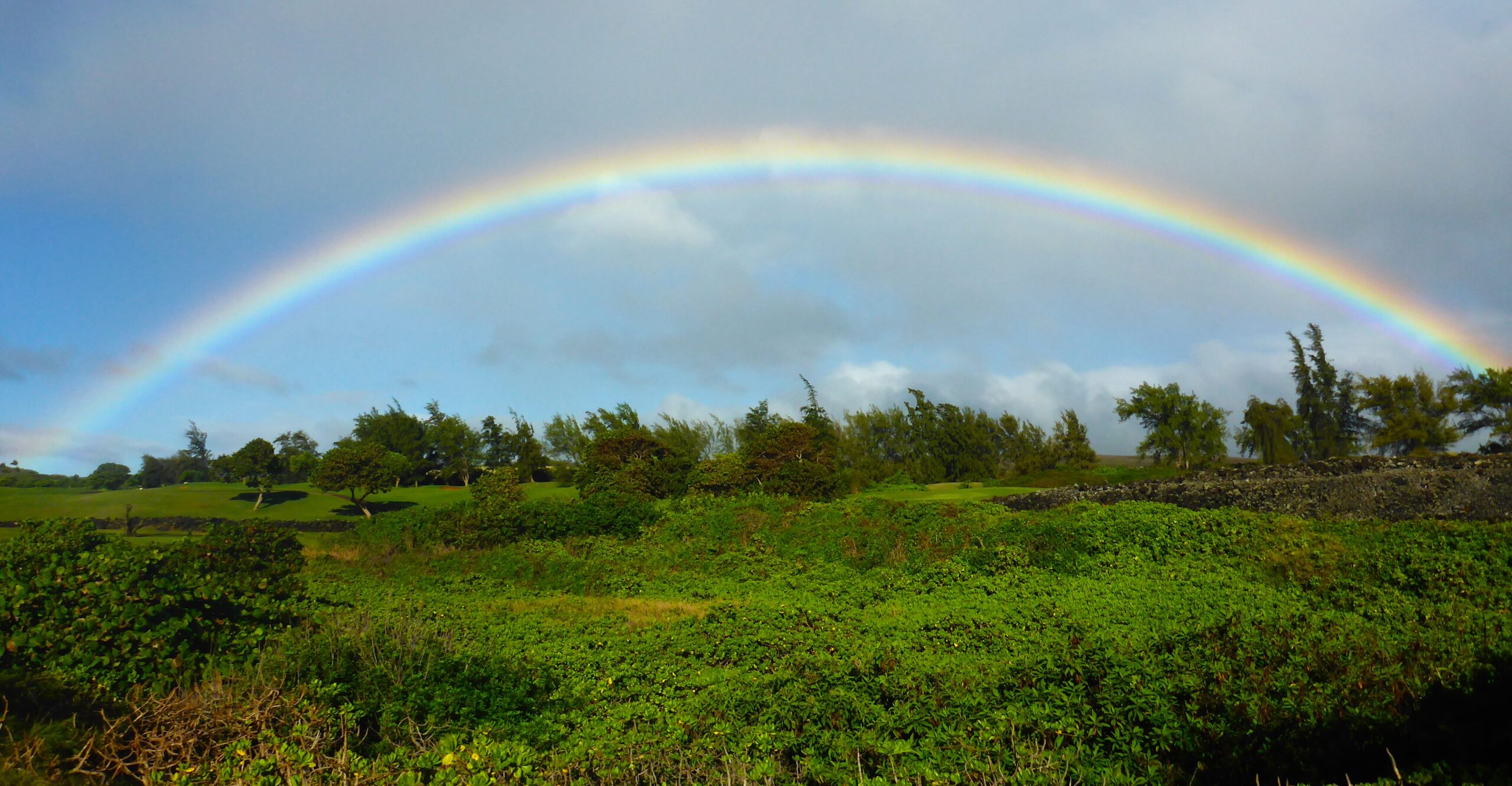 Mother Nature captures white light in her prism, and in so doing, shows us her true colours.
